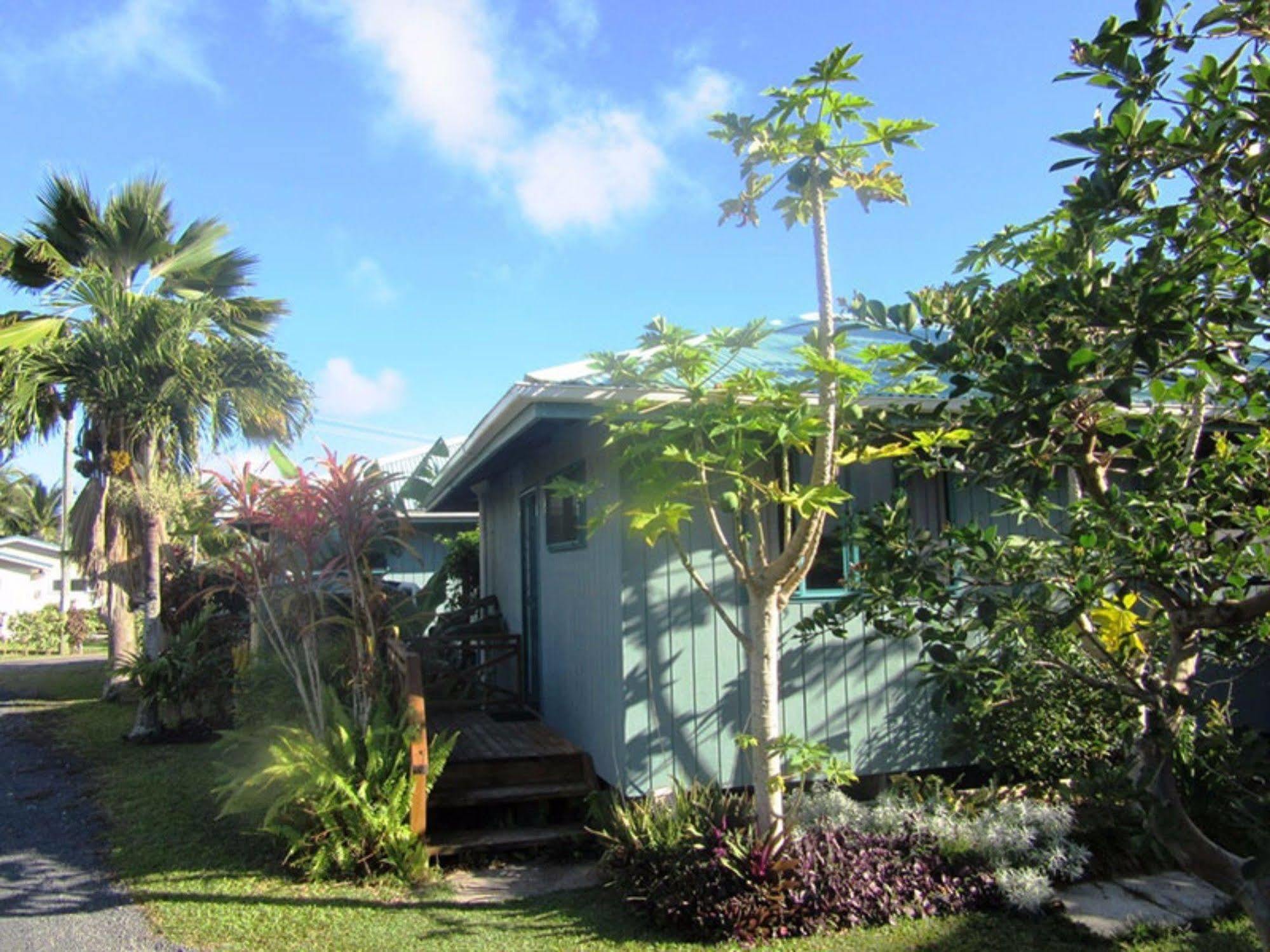 Aroa Kainga Bungalows And Apartment Rarotonga Exteriér fotografie